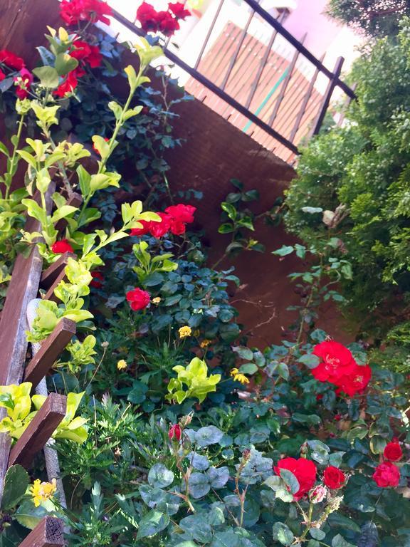 B&B Limone San Leone Ngoại thất bức ảnh